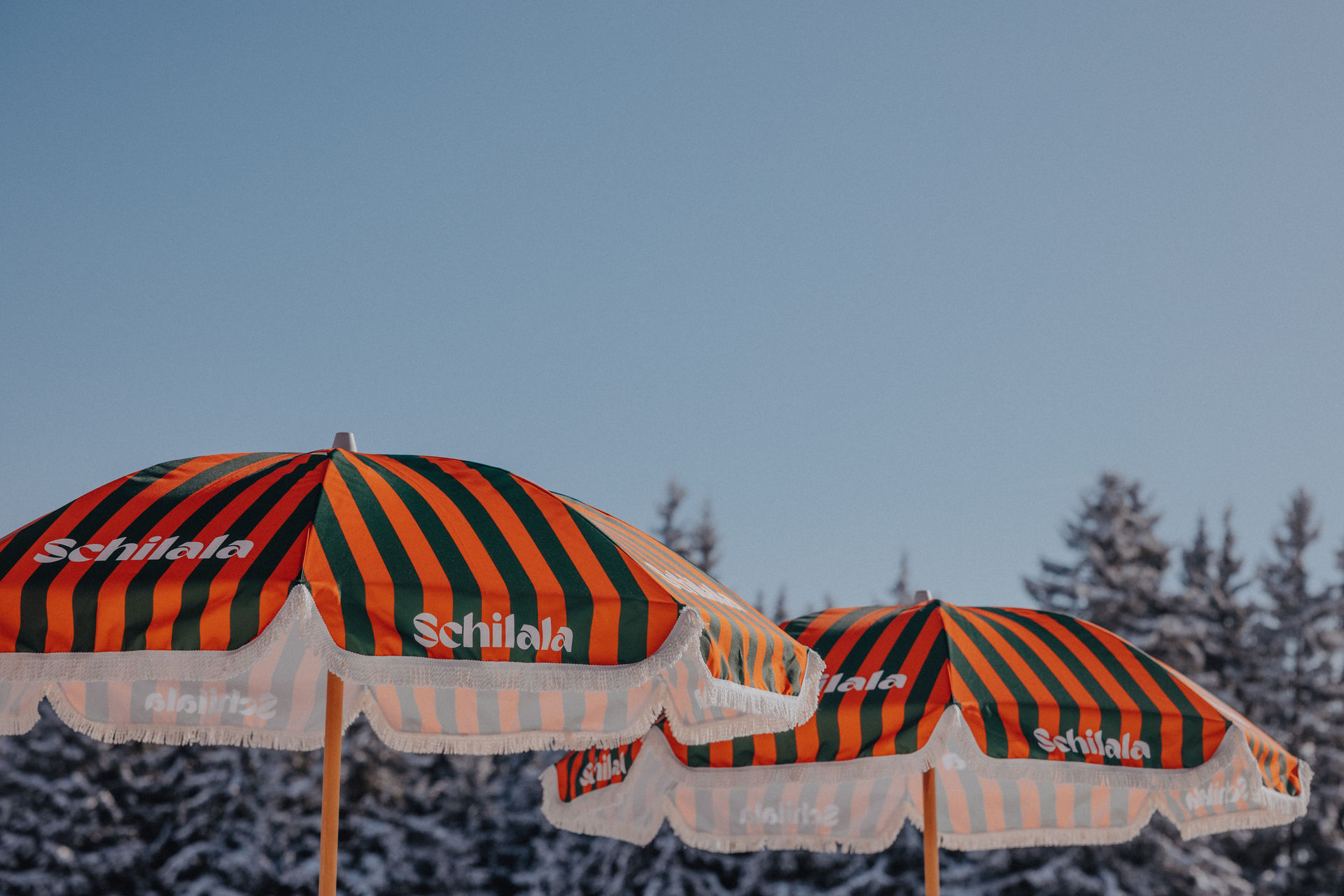 Sonnenschirm – Bild 4